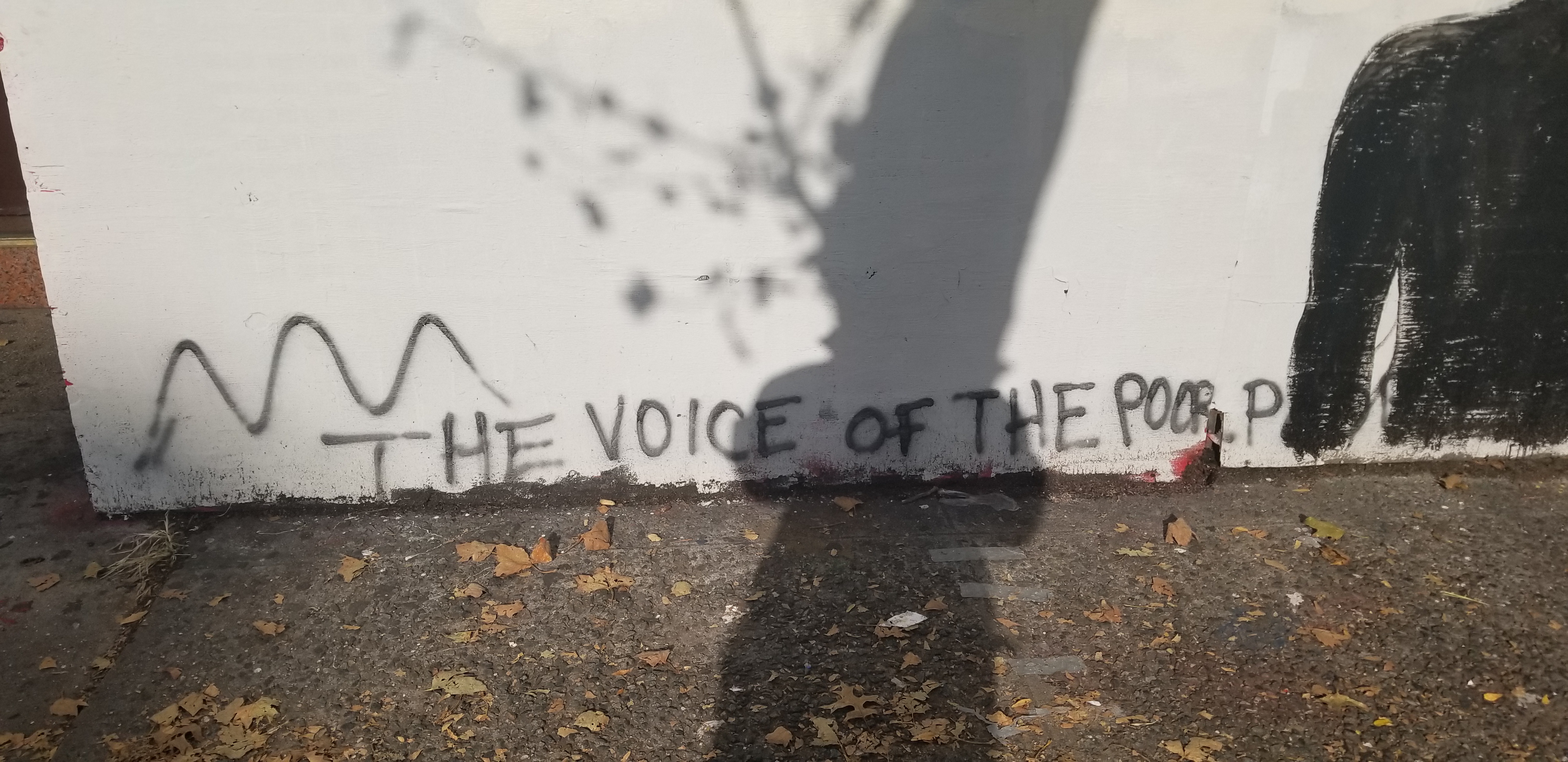 voice poor